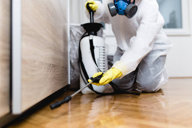 Professional Pest Control in Webster, FL