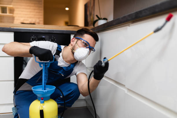 Best Cockroach Control Services  in Webster, FL