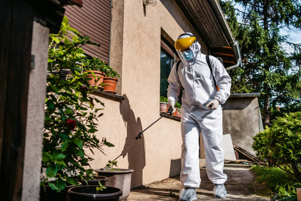 Best Emergency Pest Control  in Webster, FL