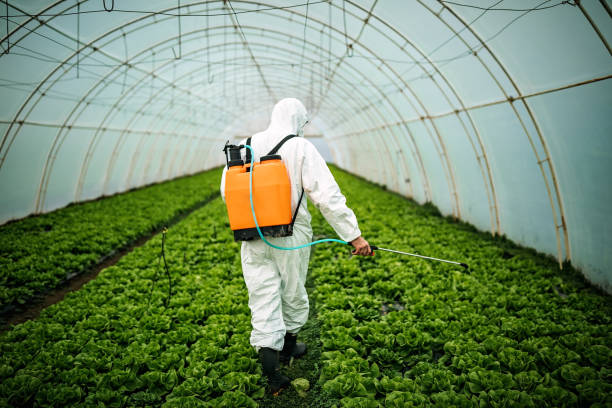 Best Best Pest Control Companies  in Webster, FL
