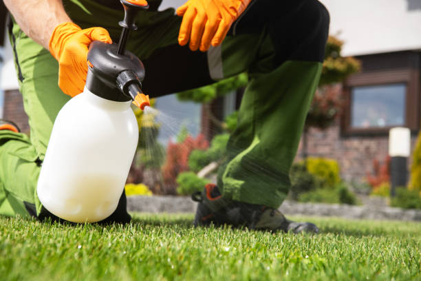 Best Commercial Pest Control Services  in Webster, FL