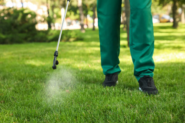 Best Flea Control Services  in Webster, FL