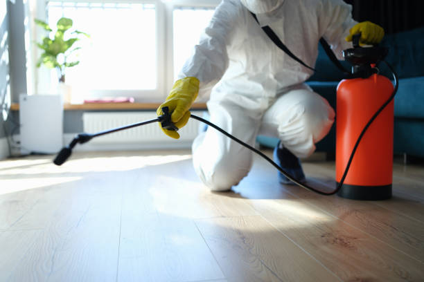 Best Affordable Pest Control Services  in Webster, FL