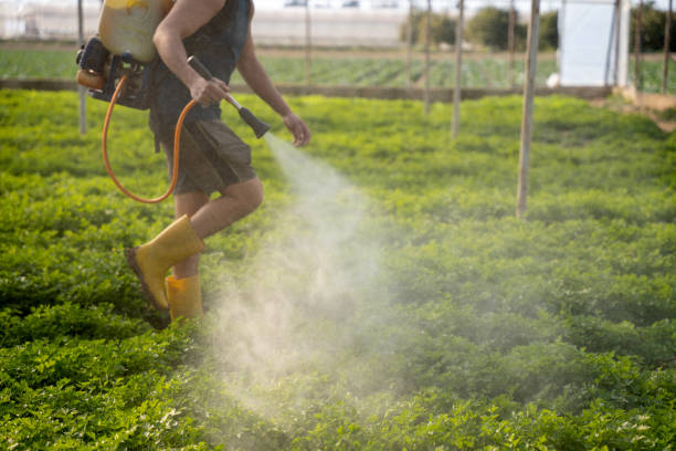 Best Best Pest Control Near Me  in Webster, FL