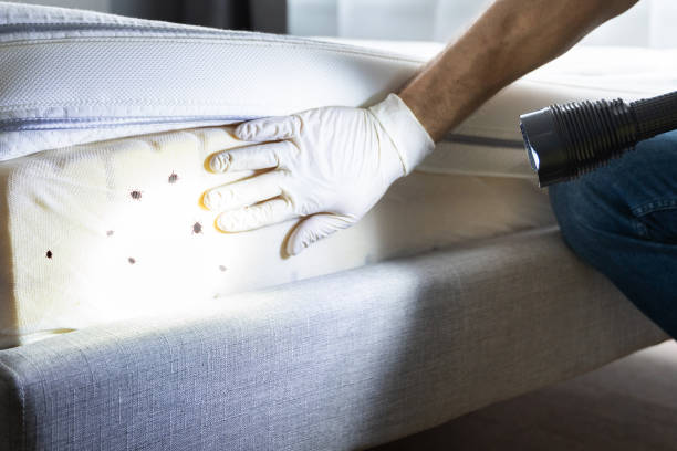 Best Pest Prevention Services  in Webster, FL
