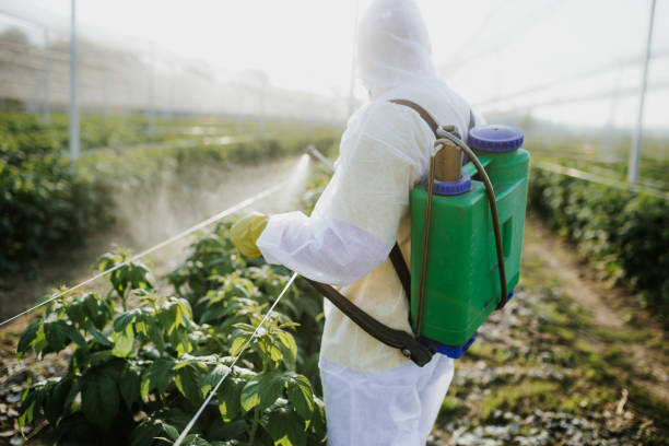 Best Best Pest Control Companies  in Webster, FL